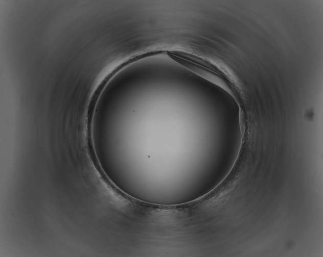 X0000091680894200708231414