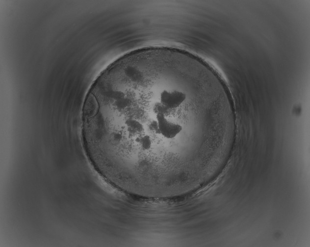 X0000091680895200708231414