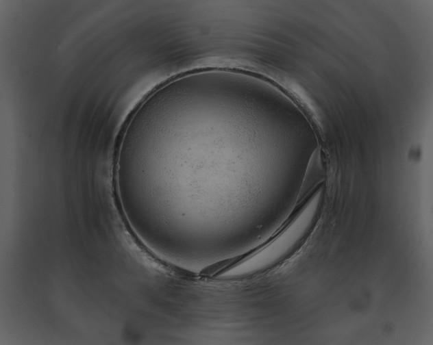 X0000091680896200708231414