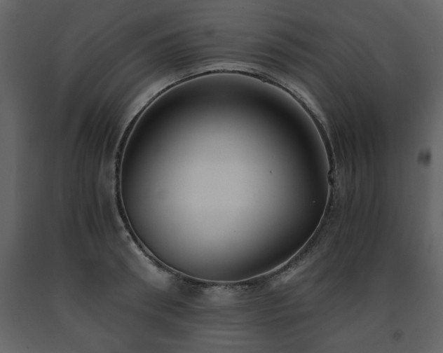X0000091680898200708231414