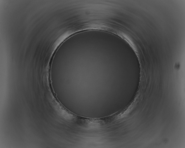 X0000091680899200708231414