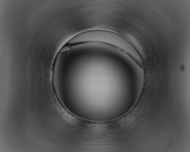 X0000091680900200708231414