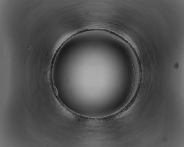 X0000091680901200708231414