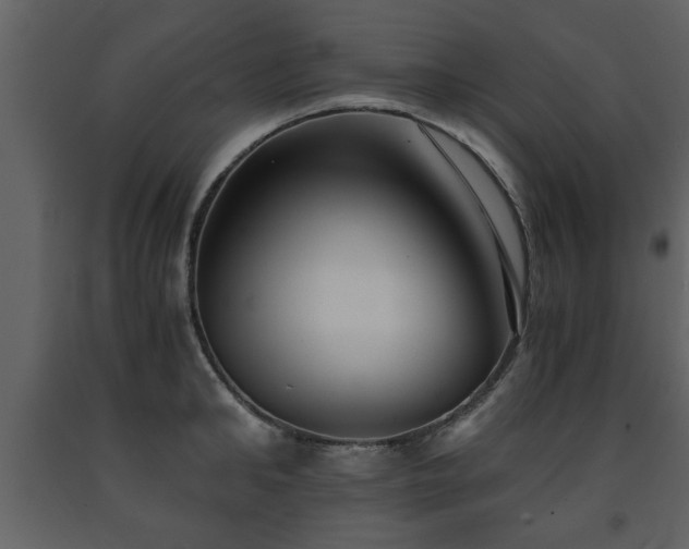 X0000091680902200708231414