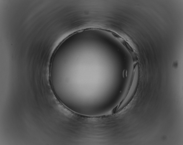 X0000091680904200708231414