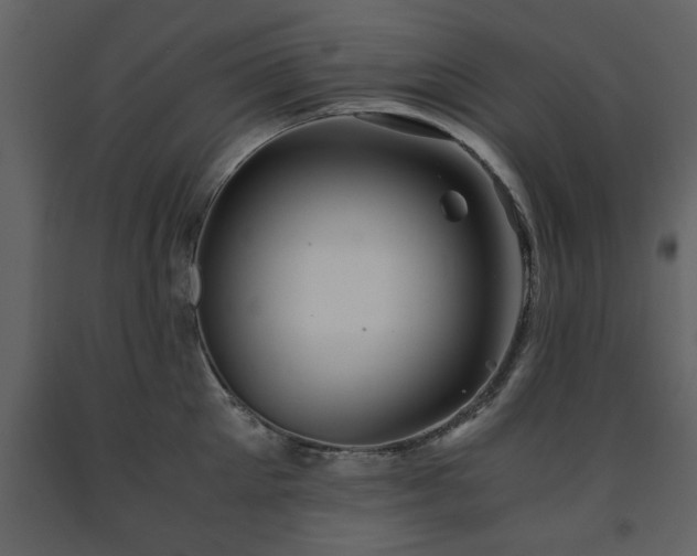 X0000091680905200708231414
