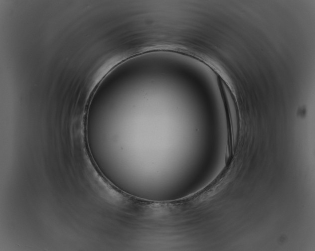 X0000091680906200708231414