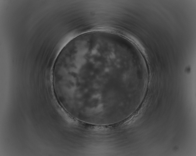 X0000091680907200708231414