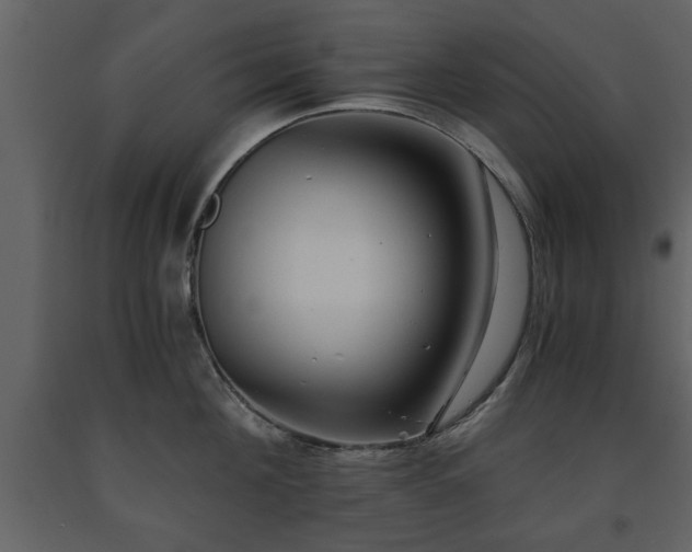 X0000091680908200708231414