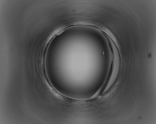 X0000091680909200708231414