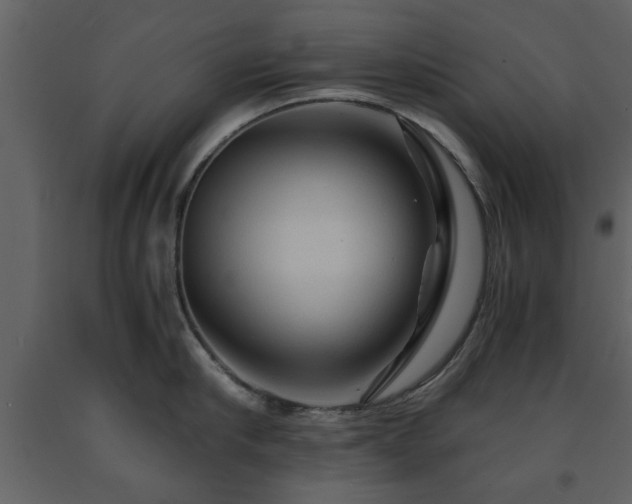 X0000091680910200708231414