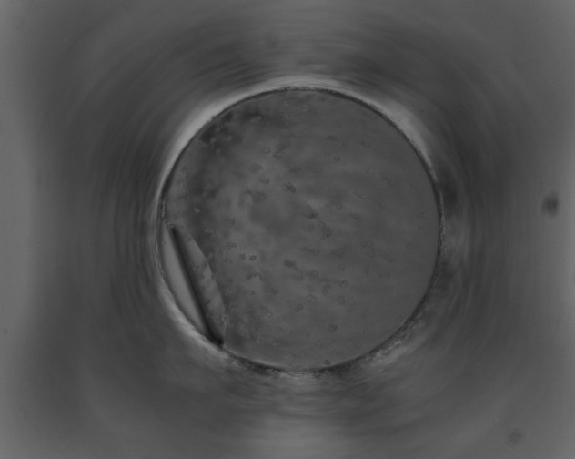 X0000091680911200708231414