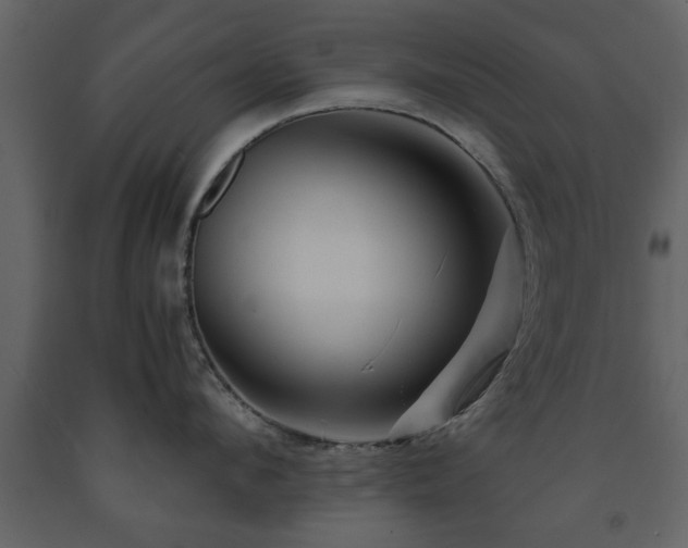 X0000091680912200708231414