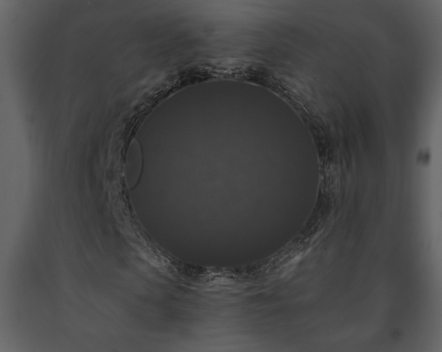 X0000091680913200708231413