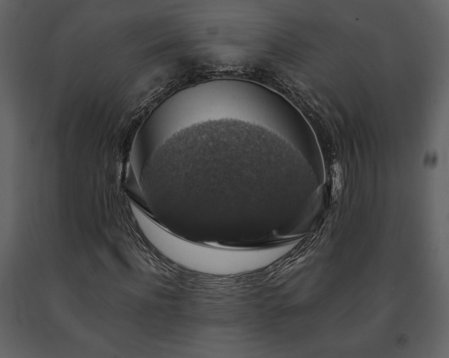 X0000091680916200708231413