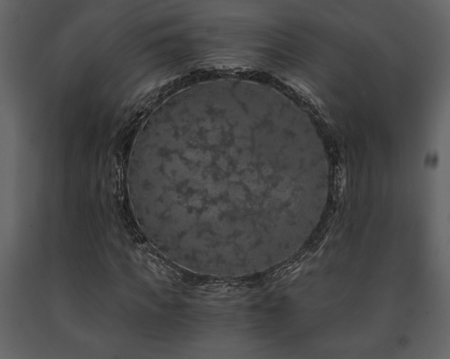 X0000091680917200708231413