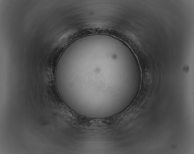 X0000091680918200708231413