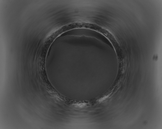 X0000091680919200708231413