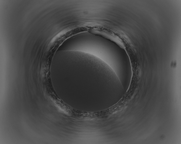 X0000091680920200708231413