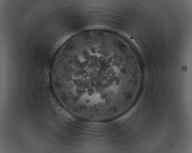 X0000091680921200708231413