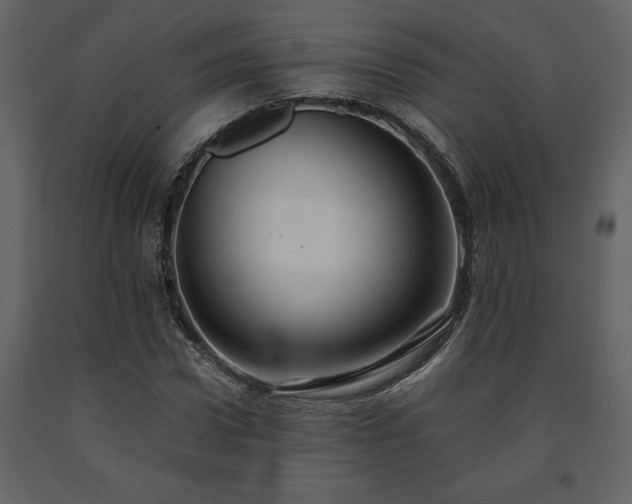 X0000091680922200708231413