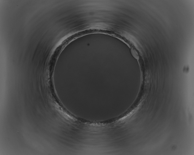 X0000091680923200708231413