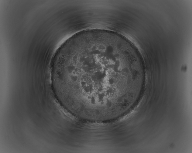 X0000091680925200708231413