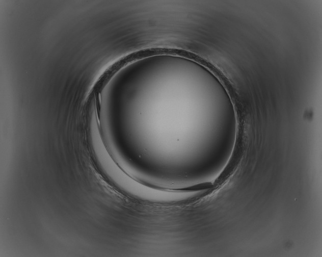 X0000091680926200708231413