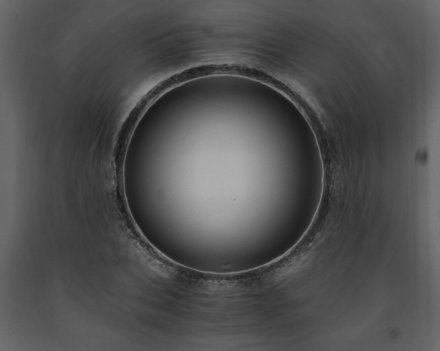 X0000091680927200708231413