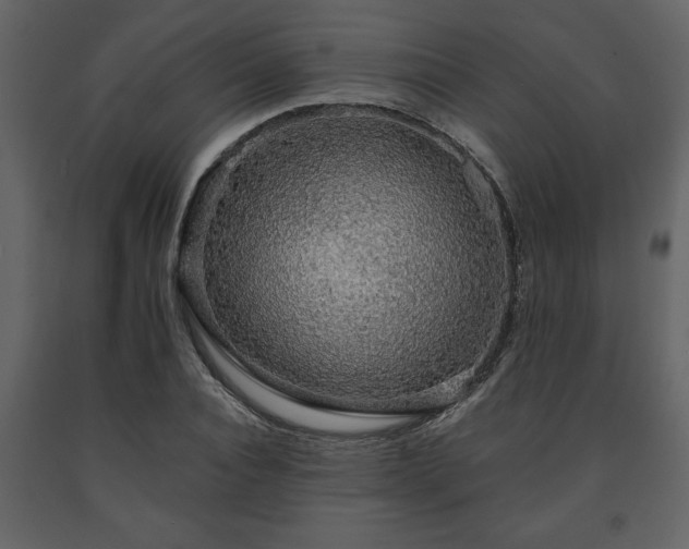 X0000091680928200708231413