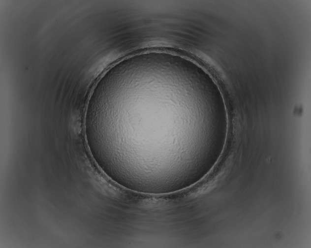 X0000091680929200708231413