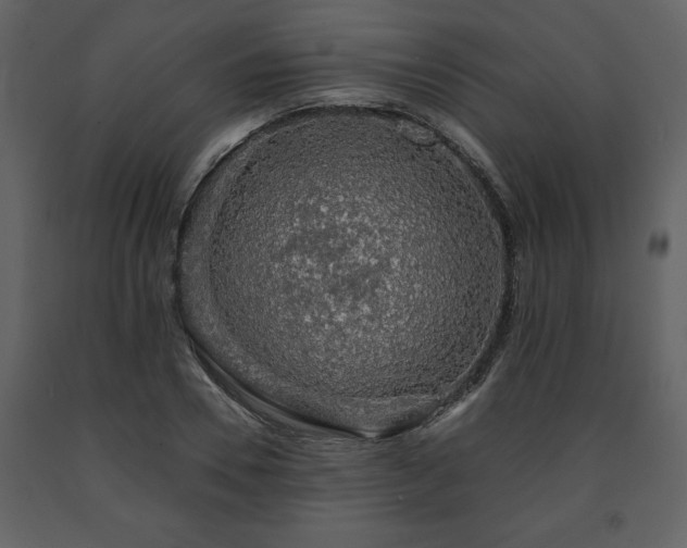 X0000091680930200708231413
