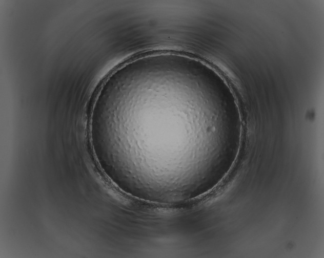 X0000091680933200708231413