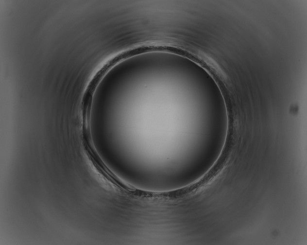 X0000091680934200708231413