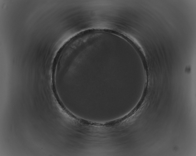 X0000091680935200708231413