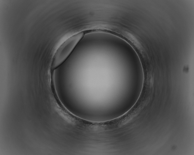 X0000091680936200708231413