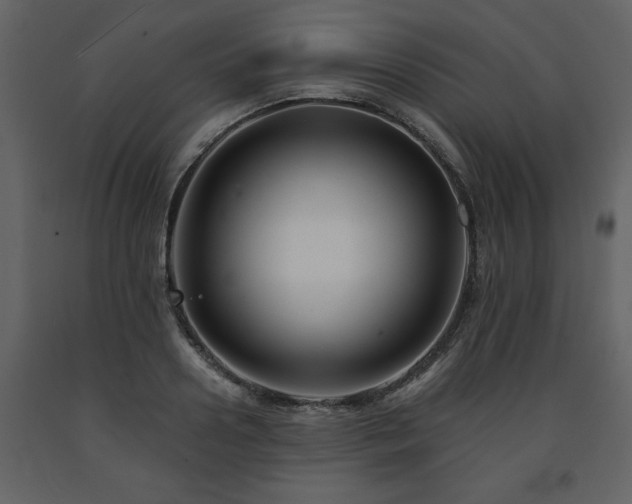 X0000091680938200708231413