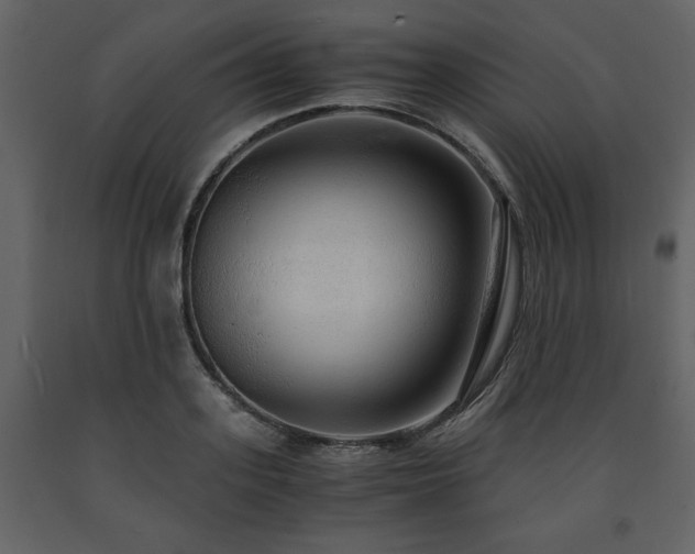 X0000091680939200708231413