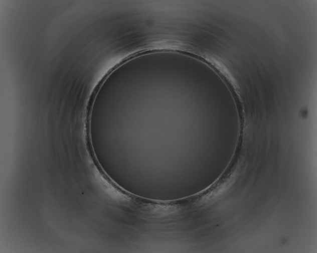 X0000091680941200708231413