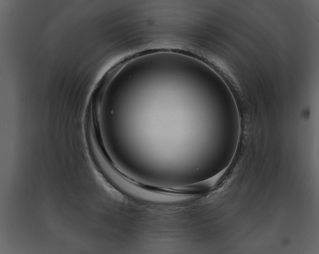 X0000091680942200708231413