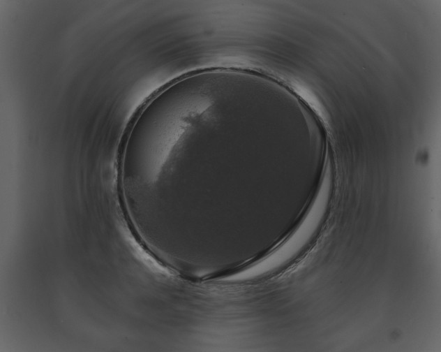 X0000091680944200708231413