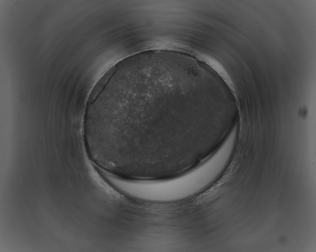 X0000091680946200708231413