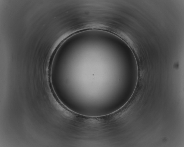 X0000091680947200708231413