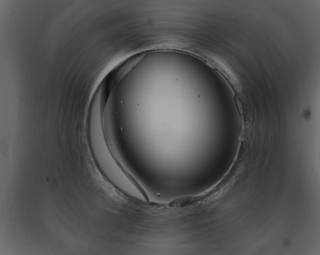 X0000091680948200708231413