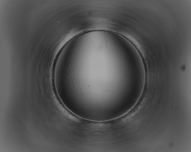 X0000091680949200708231413