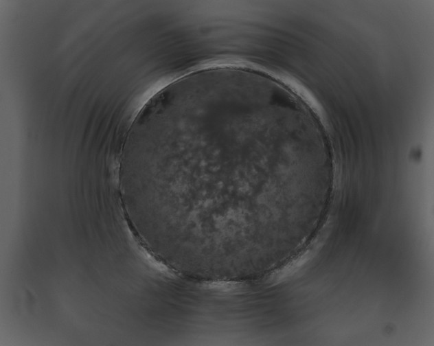 X0000091680953200708231414