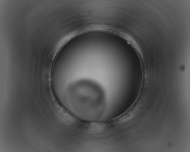 X0000091680954200708231414