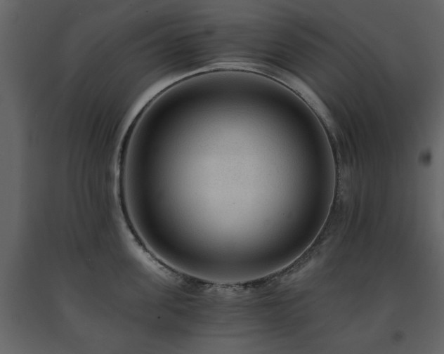 X0000091680955200708231414