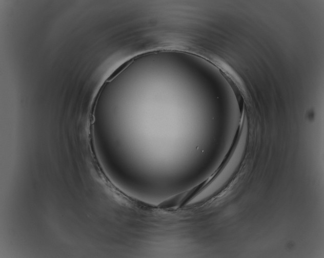 X0000091680956200708231414
