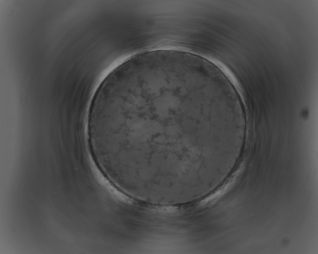 X0000091680957200708231414
